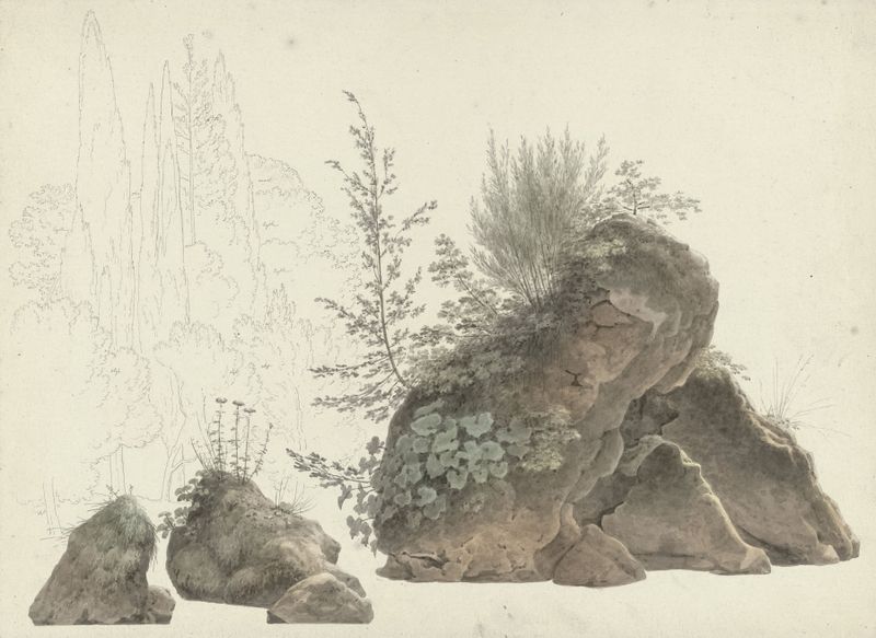 Overgrown Rocks de Josephus Augustus Knip, óleo sobre tela que retrata vegetação exuberante e rochas.
