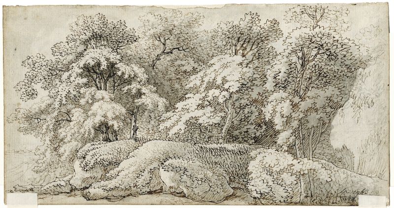 Bosgezicht by Barend Hendrik Thier, oil on canvas depicting a vibrant forest landscape.