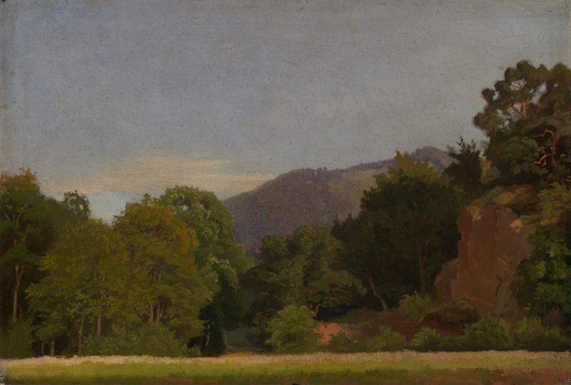 Paisaje con un prado y un bosque de Emil Lugo, ca 1860