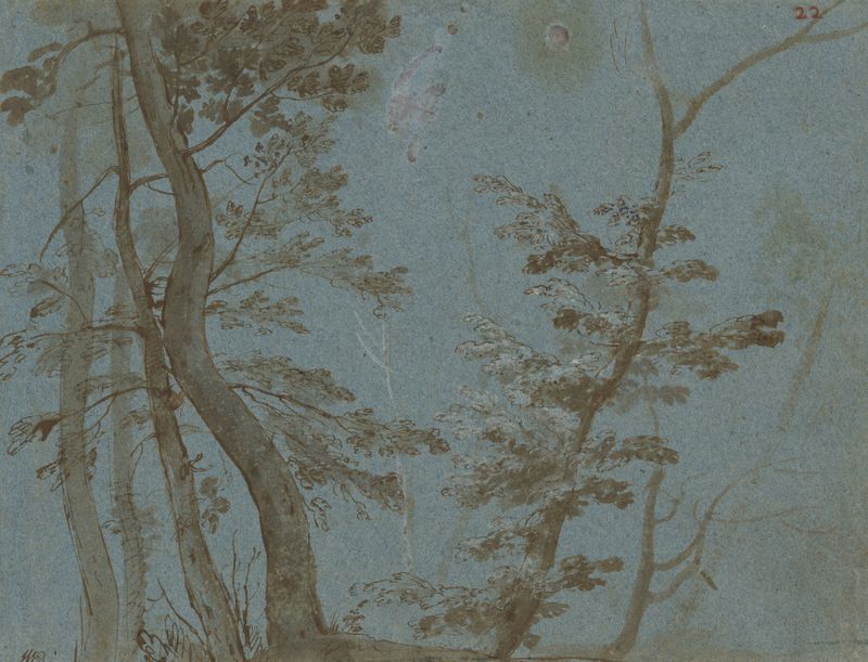 Paisagem de árvores em um bosque, pintura a óleo de Artista Desconhecido