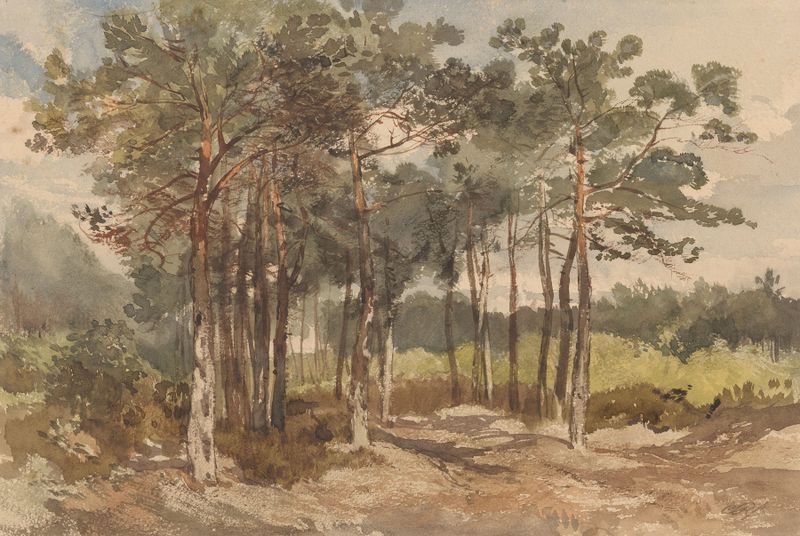 Forest scene with trees and dappled light, oil on canvas by Charles Rochussen