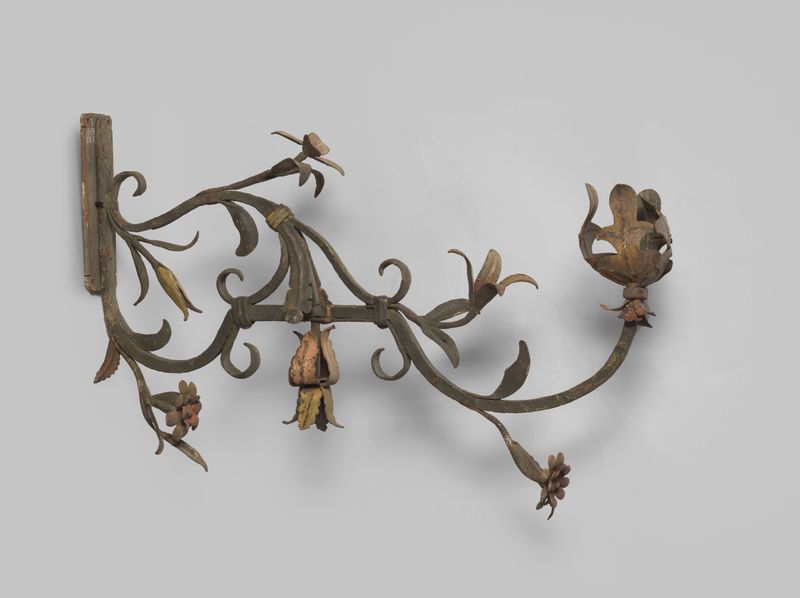 Obra botânica representando um ramo de unknown, 1600-1699