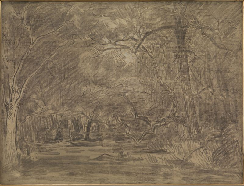 Forest landscape with trees, oil painting by Théodore Rousseau