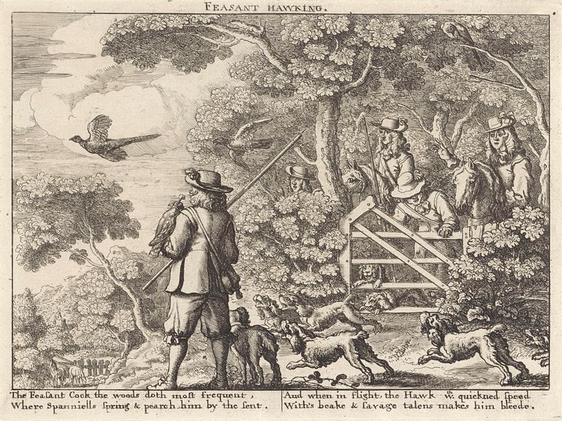 Valkenjacht op fazanten by Richard Gaywood, etching depicting a falconer with pheasants in an autumn landscape.