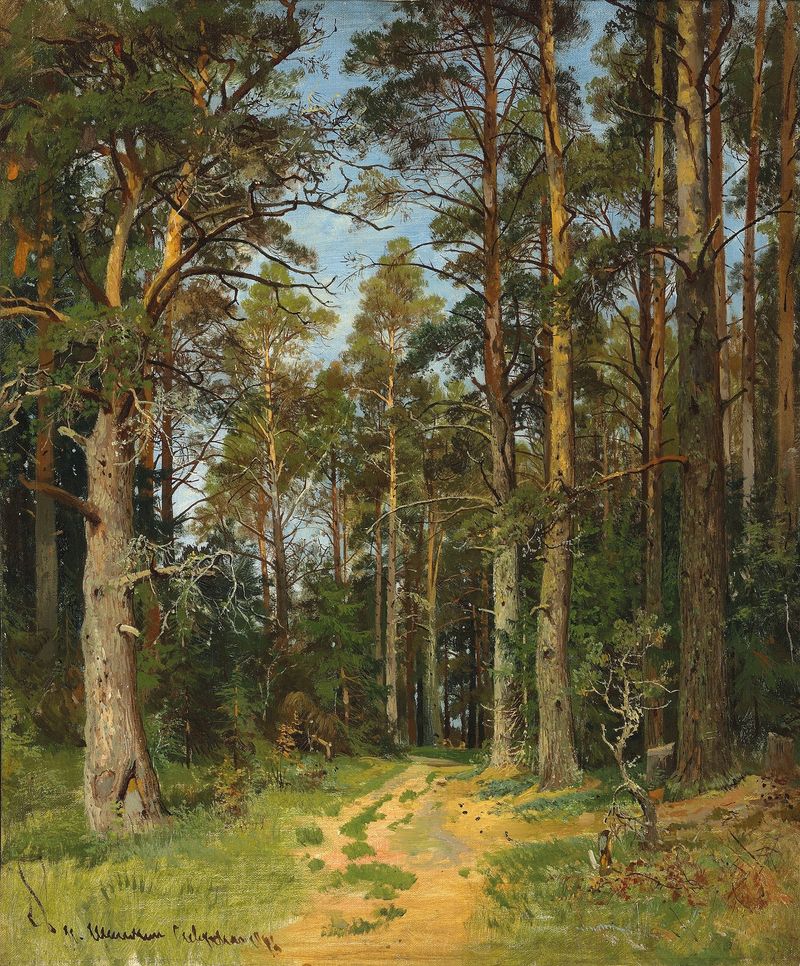 Siverskaya by Ivan Ivanovich Shishkin, oil painting depicting a dense forest with towering trees.