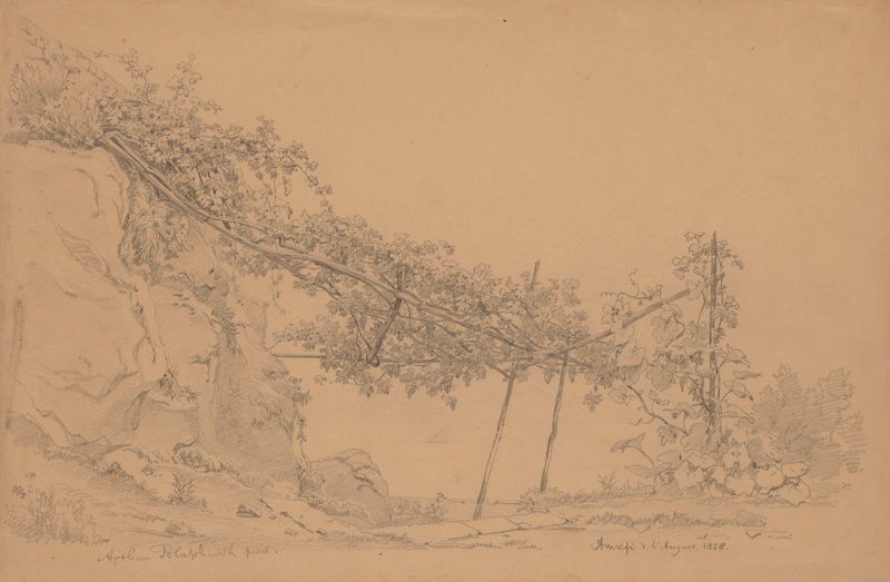 Pergola with Vine in Amalfi, óleo sobre tela de Arthur Blaschnik