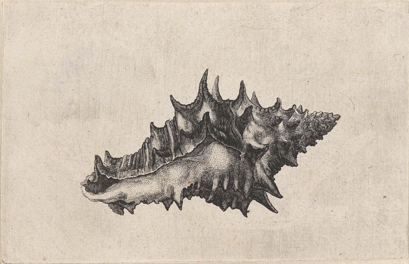 Grabado de Wenceslaus Hollar que representa un jarrón de cerámica.