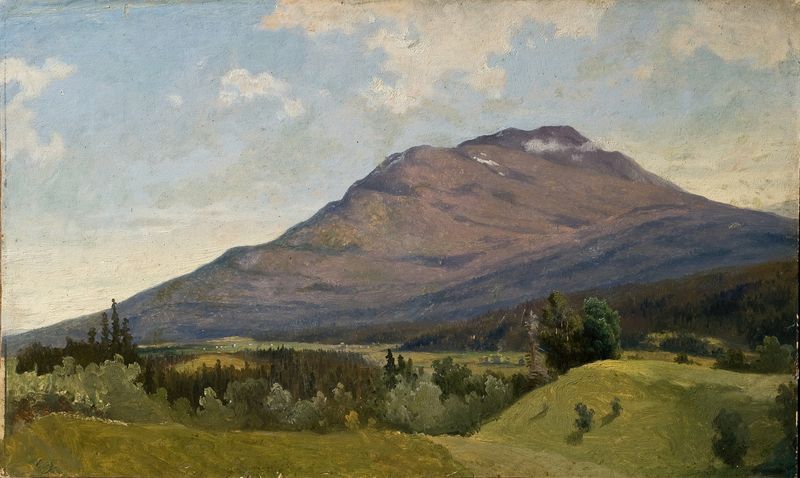 Summer Landscape with Mountain by Gustaf Wilhelm Palm, oil painting depicting rolling hills and vibrant greenery.