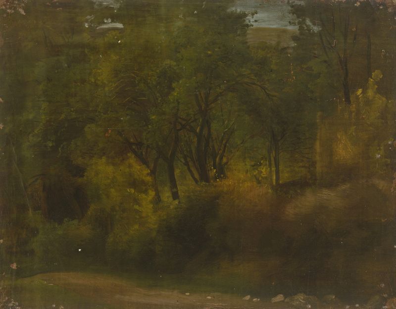 Forest scene with dappled light, by Jakob Becker, medium unknown