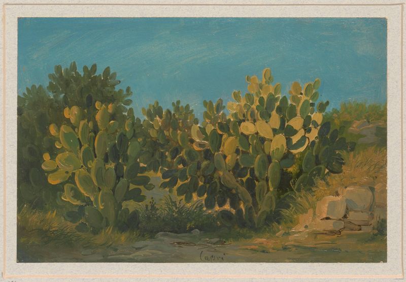 Cactos na Ilha de Capri, óleo sobre tela de Arthur Blaschnik