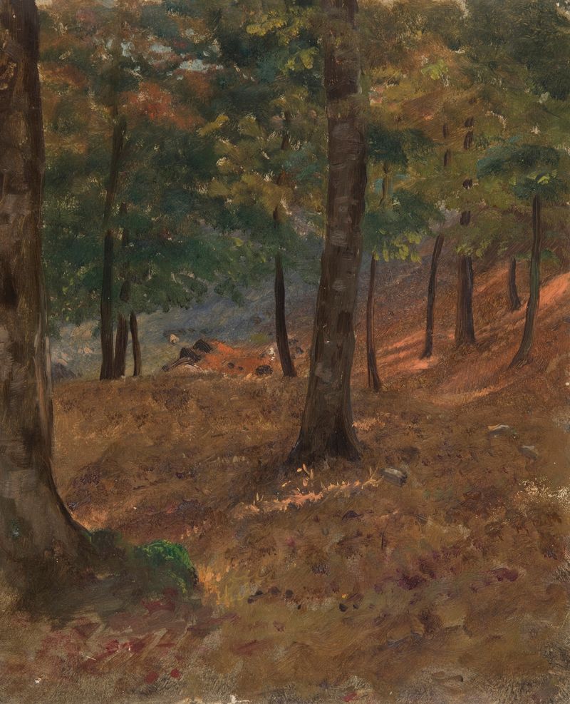 Woodland Scene de Frederic Edwin Church, pintura al óleo que muestra un bosque sereno con luz filtrada.
