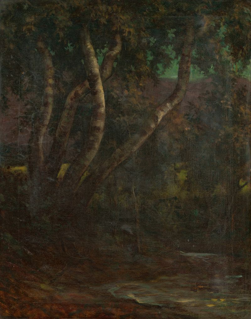 Forest scene with dappled sunlight and deep foliage by Milan Thomka Mitrovský