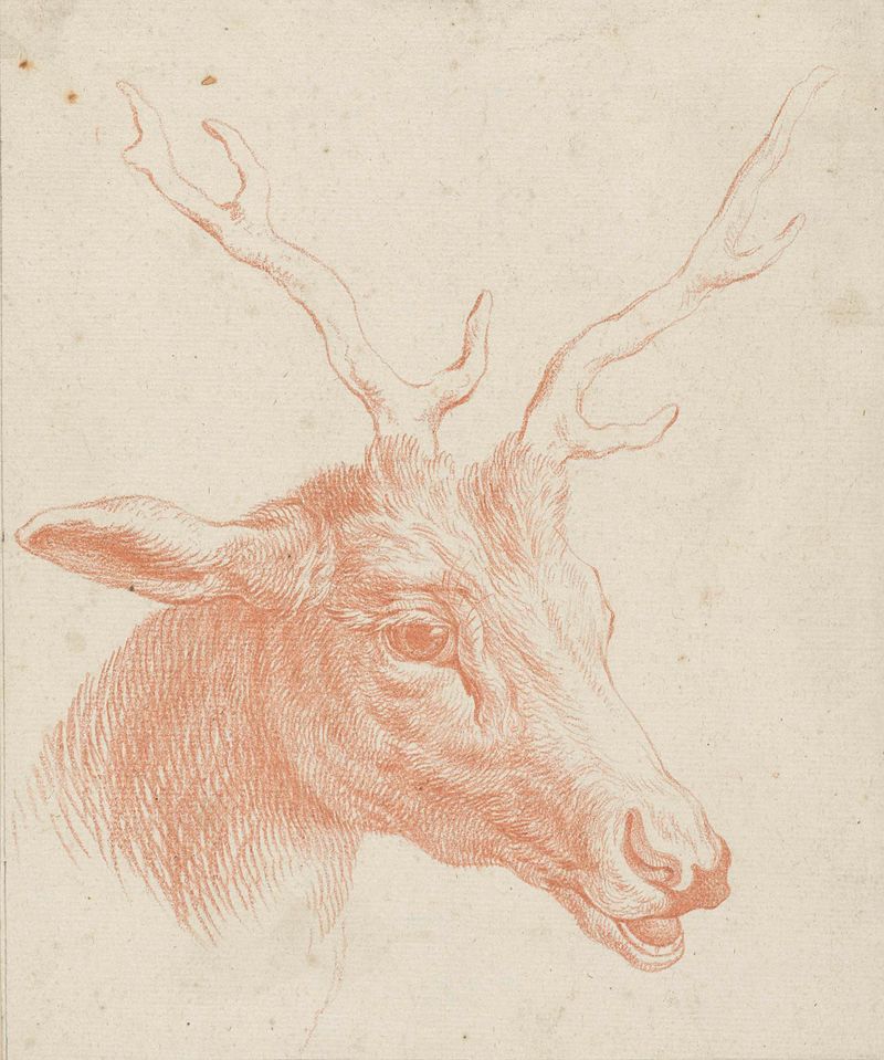 Desenho barroco de Johann Elias Ridinger mostrando um veado com chifres