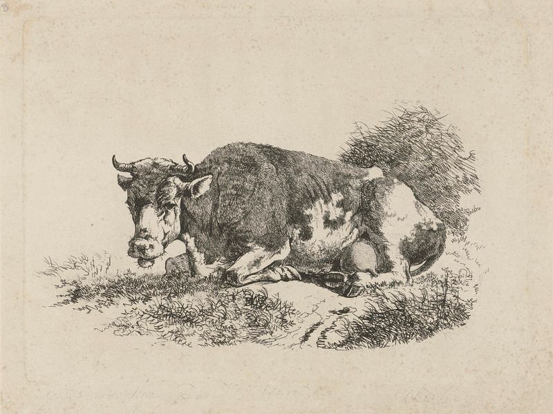 Grabado de Jan Kobell III que muestra una vaca acostada en la hierba en un paisaje pastoral.