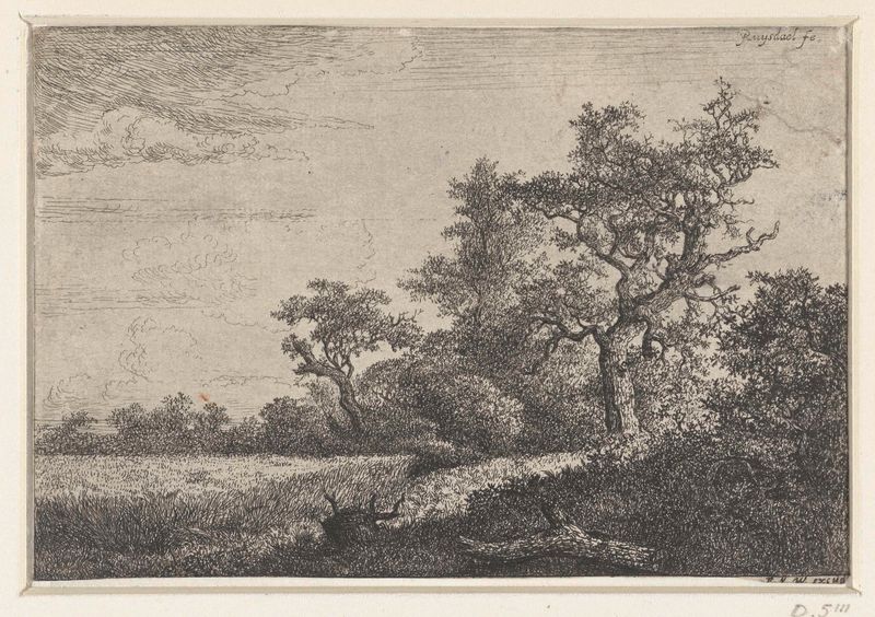 Landscape etching of wheat fields under a dramatic sky by Jacob Isaacksz van Ruisdael