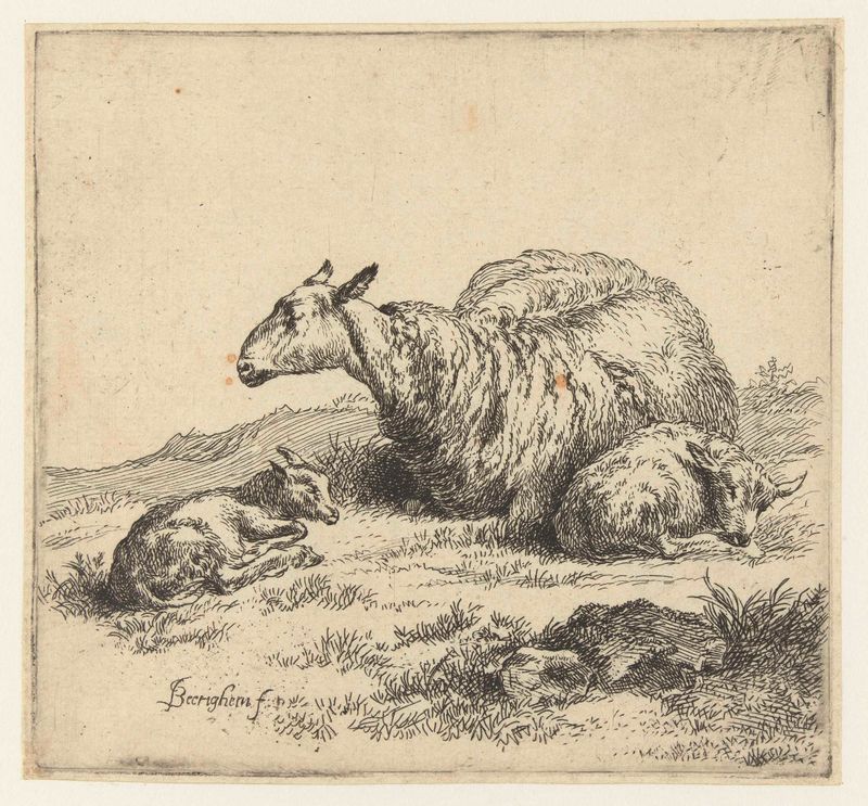 Etching by Nicolaes Pietersz Berchem of a shepherd with two lambs in a green landscape.