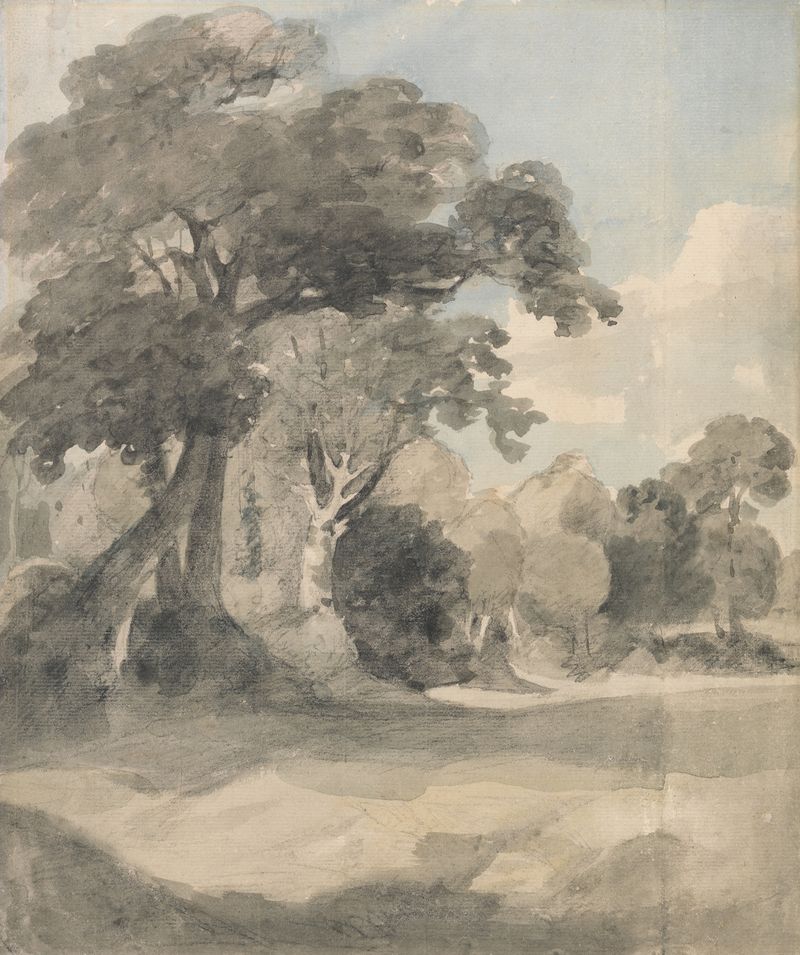 Trees in a Meadow by John Constable, oil painting depicting trees in sunlight