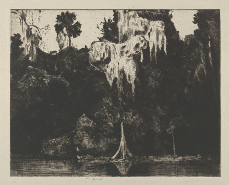 Ghost Cypress de Ernest Haskell, aquarela sobre papel mostrando um cipreste na névoa