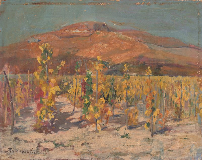 Vineyard landscape with grapevines in golden light, oil on canvas by Karol Pongrácz
