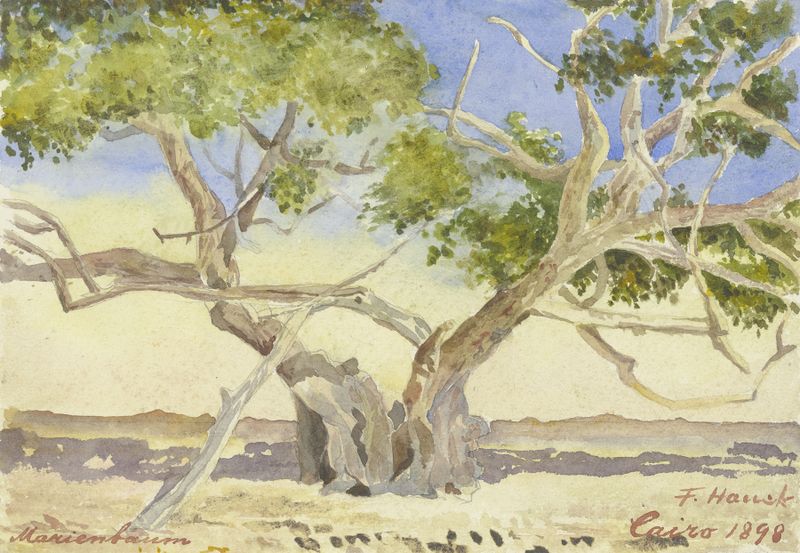 Landscape featuring a gnarled tree in muted colors, by Fritz Hauck, oil painting