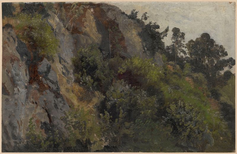 Pendiente rocosa cubierta de plantas, óleo sobre lienzo de Adolf Dressler
