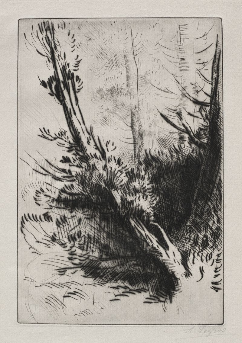 In the Woods de Alphonse Legros, pintura a óleo que retrata uma figura solitária em uma floresta iluminada por luz filtrada.