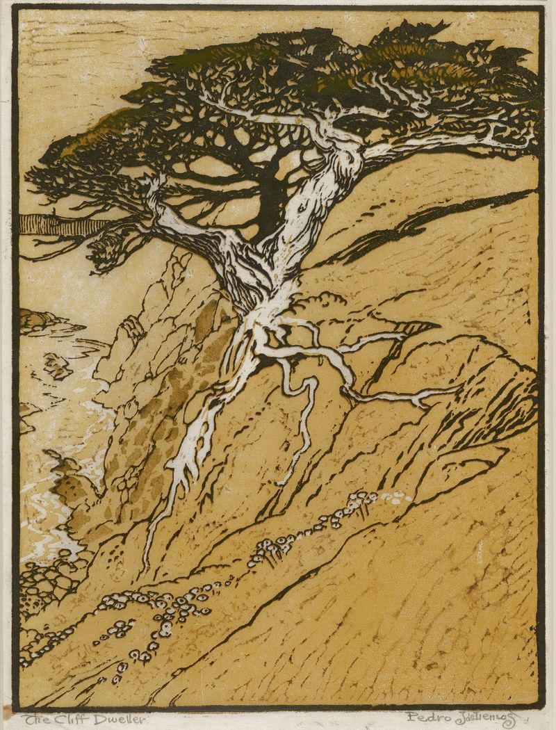 The Cliff Dweller by Pedro de Lemos, depicting a solitary figure on a cliff, medium unknown.