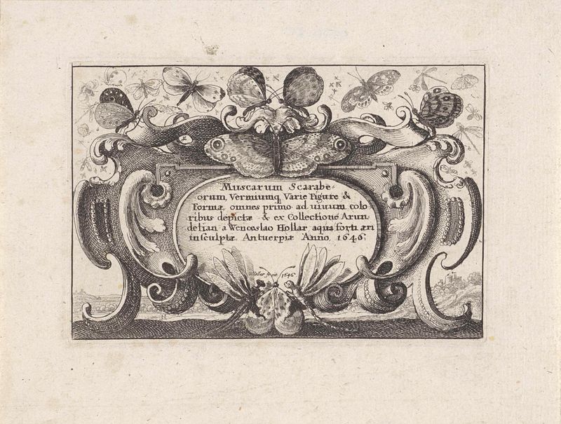Gravura de Wenceslaus Hollar com um cartucho e vários insetos.
