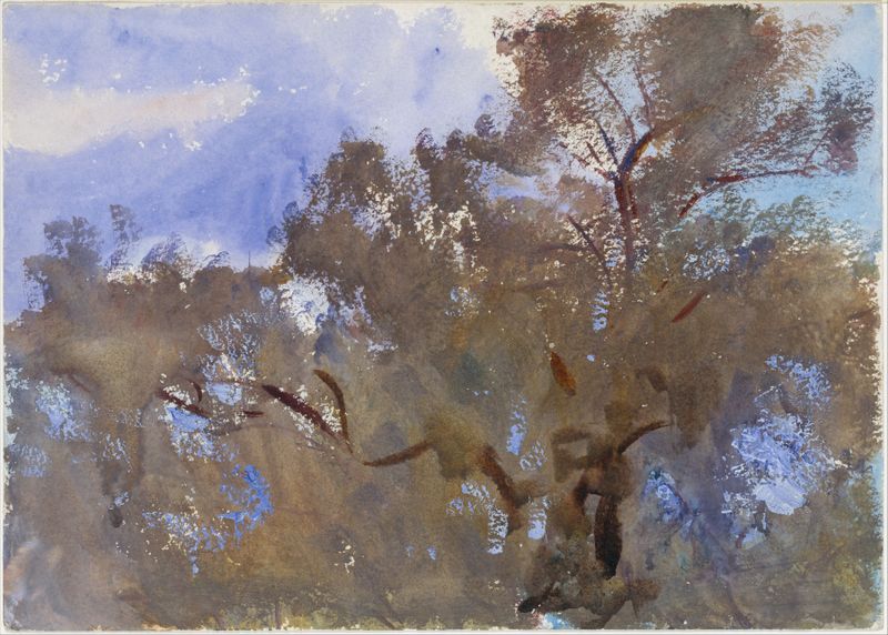 Treetops against Sky de John Singer Sargent, óleo sobre tela mostrando copas de árvores e céu.