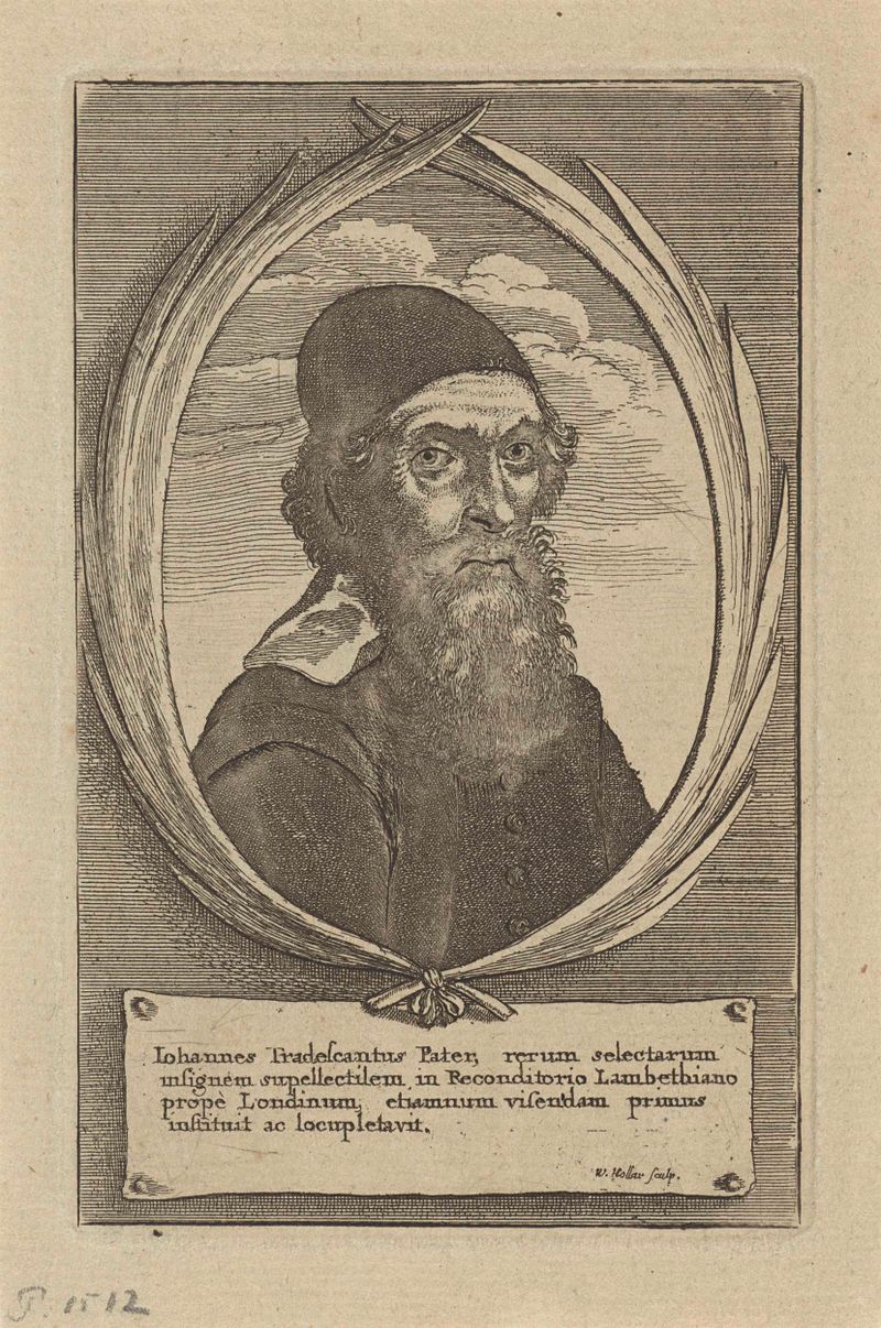 Retrato de John Tradescant de Oude, gravura de Wenceslaus Hollar