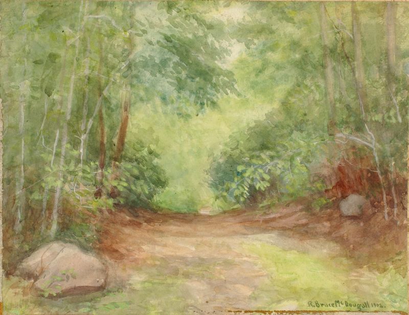 Forest Scene de Robert Bruce McDougall, impressionismo, retratando uma floresta exuberante com luz filtrada.