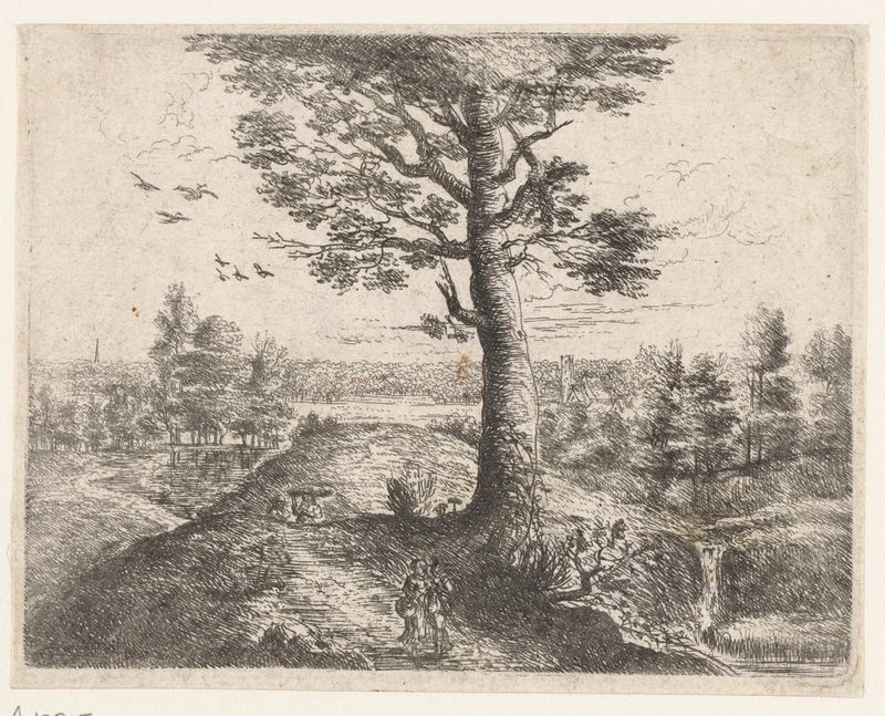 Etching by Philips Augustijn Immenraet depicting a couple walking along a path.