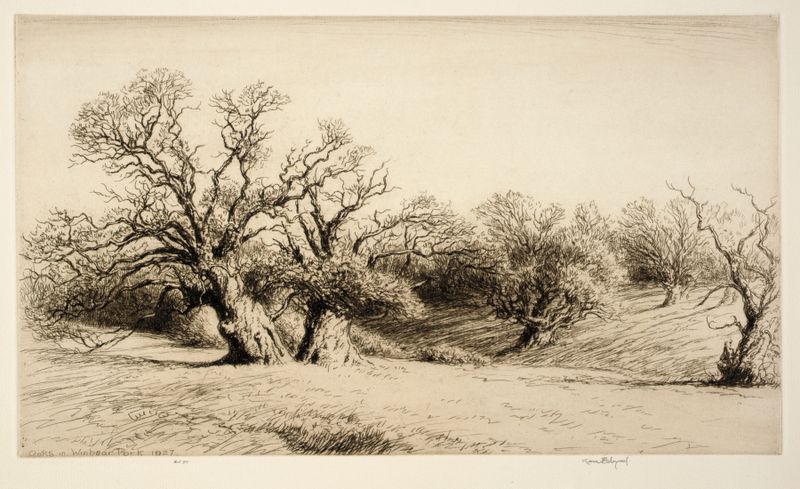 Oaks in Windsor Park de Kerr Eby, gravura que retrata uma paisagem serena com majestosos carvalhos e luz filtrada.