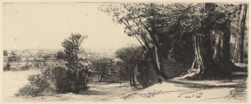 Grabado de Francis Seymour Haden que representa un alondra posada en una rama al amanecer