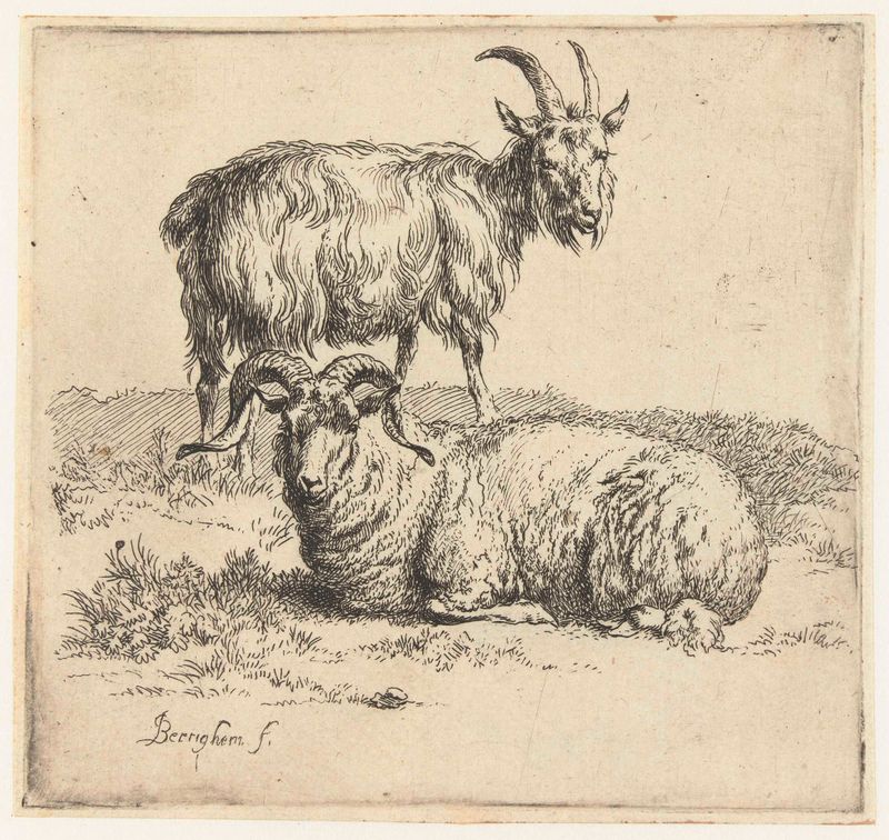 Gravura de Nicolaes Pietersz Berchem mostrando um carneiro e uma cabra em tons terrosos