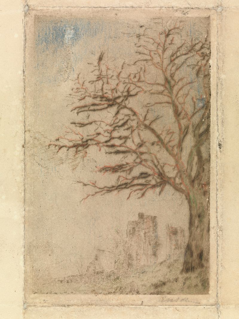 Acacia de James Ensor, óleo sobre lienzo que representa una acacia solitaria en un paisaje tenue.