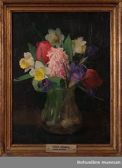 Pintura botánica de Brand Rudbeck