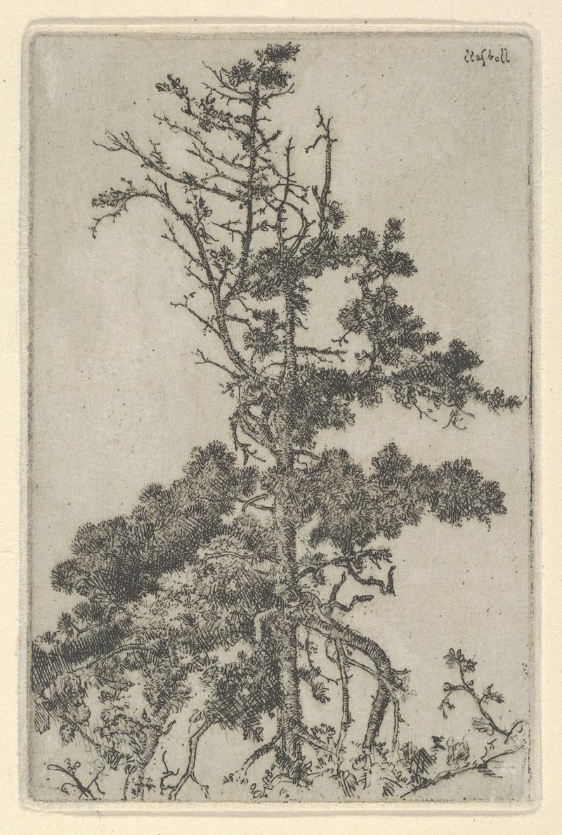 Tree Top de Ernest Haskell, acuarela sobre papel que representa árboles vibrantes y luz solar.