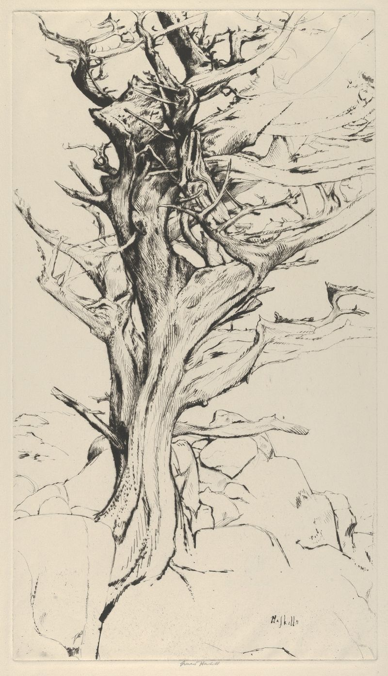 Torse of the Witch de Ernest Haskell, expressionismo, obra figurativa