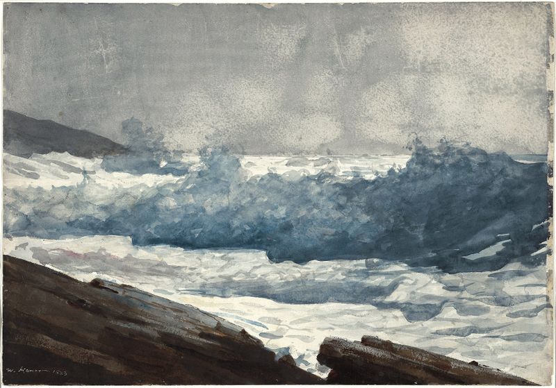 Cena marinha com ondas e rochas em óleo sobre tela de Winslow Homer