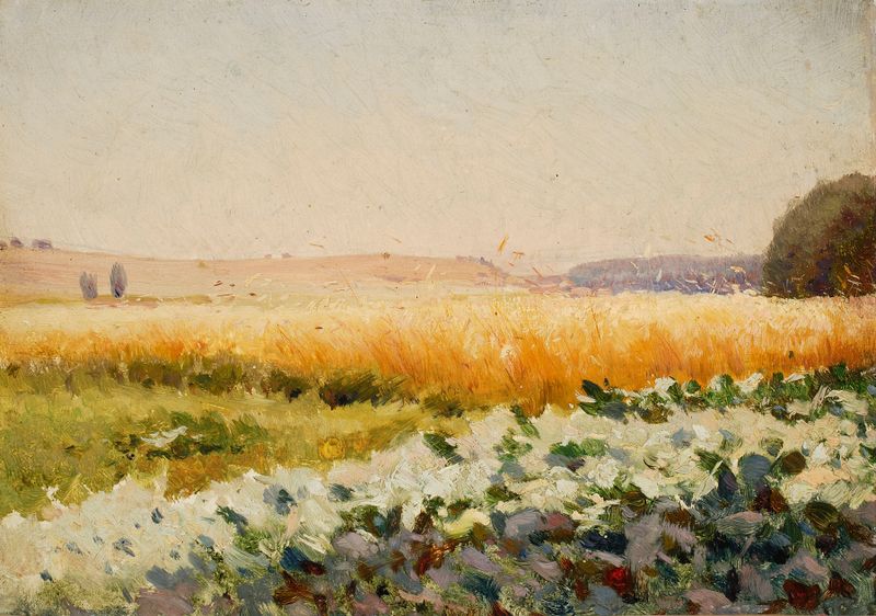Campo de Repolho, óleo sobre tela de Jan Stanisławski, retratando repolhos verdes em um jardim.