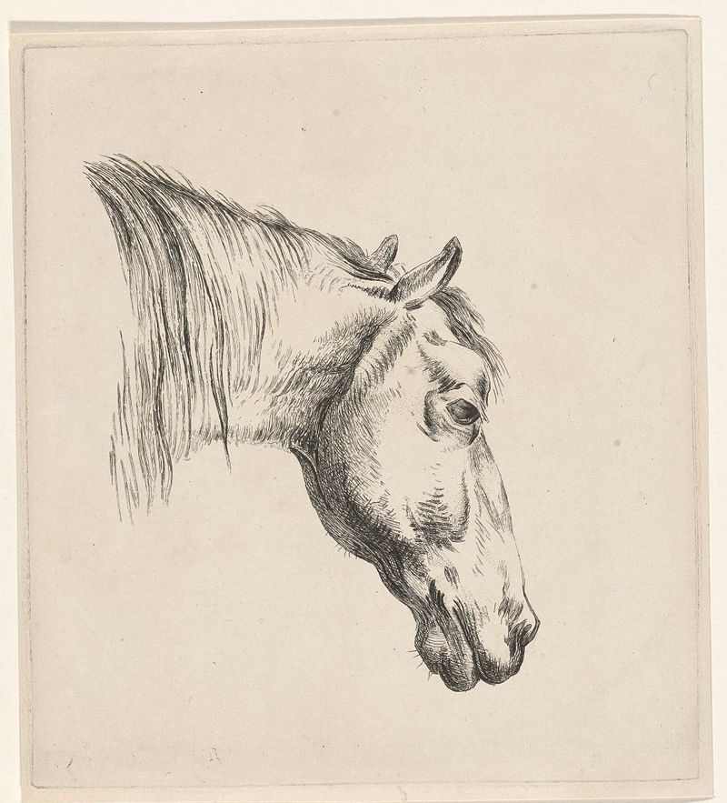 Etching of a horse's head by Reinierus Albertus Ludovicus baron van Isendoorn à Blois
