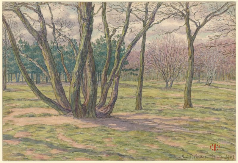 Bois de Boulogne de Henri Rivière, pintura a óleo que retrata uma paisagem serena com um lago e vegetação exuberante.