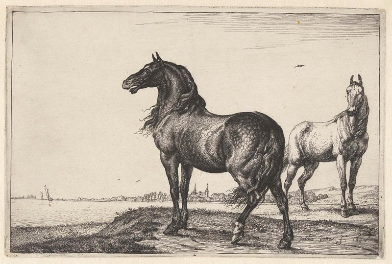 Hinnikend paard by Paulus Potter, etching of a powerful horse in a natural setting.