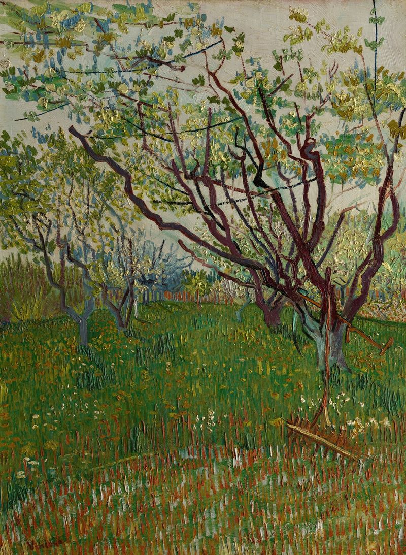The Flowering Orchard by Vincent van Gogh, oil on canvas featuring pink and white blossoms.