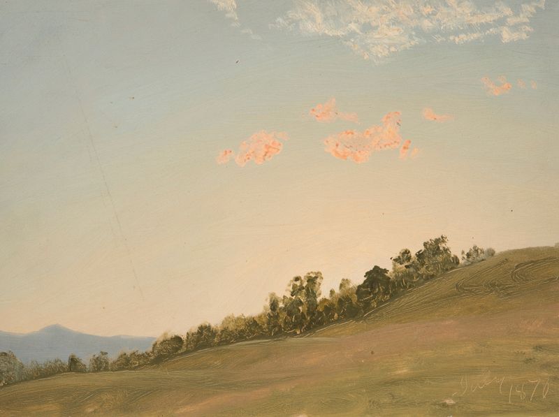 Hillside, Hudson, New York de Frederic Edwin Church, pintura al óleo que representa un paisaje exuberante con luz y sombra.
