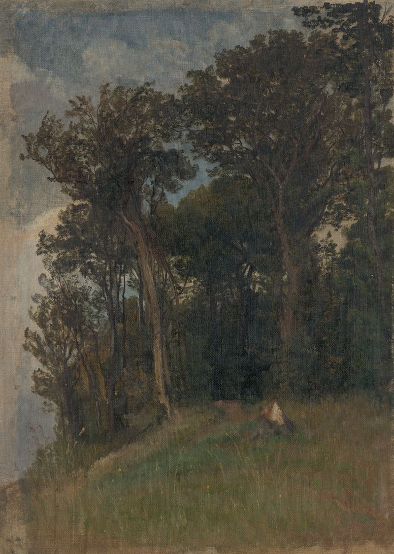 Forest scene with deep emerald foliage by Friedrich Carl von Scheidlin, 1890