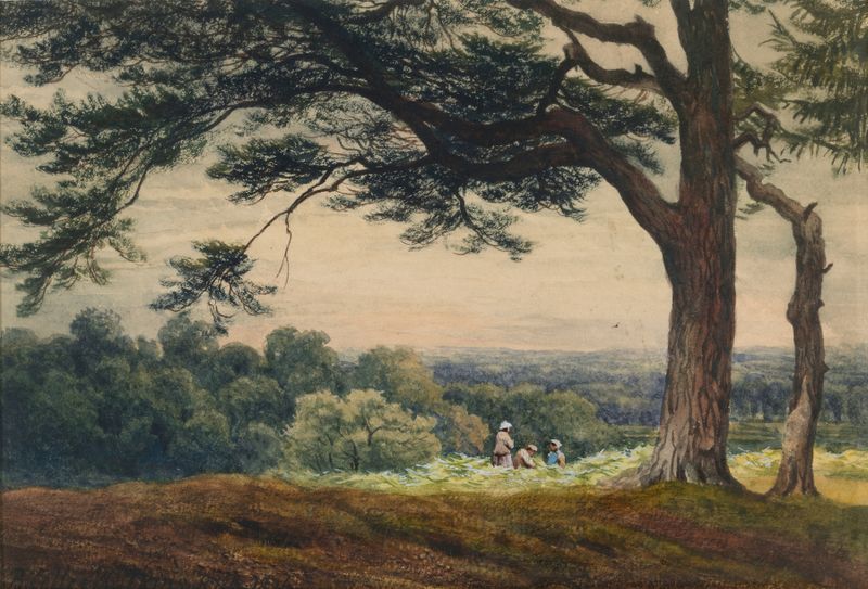 A Hill near Esher, Surrey de Bartholomew Colles Watkins, pintura al óleo que muestra colinas y vegetación.