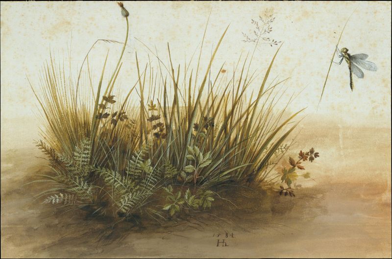 Pintura botánica al óleo de Hans Hoffmann que presenta hierba exuberante y texturas detalladas.
