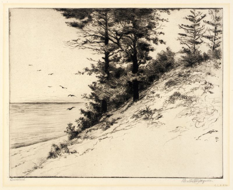 Duneland by Bertha Jaques, a modernism landscape artwork